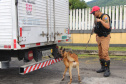 Cães da Polícia Rodoviária Estadual ajudam a garantir Carnaval mais seguro no Litoral