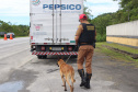 Cães da Polícia Rodoviária Estadual ajudam a garantir Carnaval mais seguro no Litoral