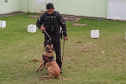 Projeto educativo sobre animais em CMEIs de Maringá tem apoio de cães da Polícia Penal