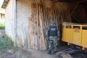  Polícia Militar apreende madeira ilegal durante operação no Sul do Paraná