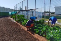  Projeto Semear, da Polícia Penal, fornece produtos orgânicos a escola de Foz do Iguaçu