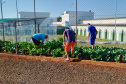  Projeto Semear, da Polícia Penal, fornece produtos orgânicos a escola de Foz do Iguaçu