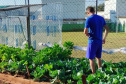  Projeto Semear, da Polícia Penal, fornece produtos orgânicos a escola de Foz do Iguaçu