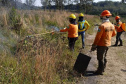  Brigadistas indígenas ajudam a conservar o patrimônio natural do Paraná