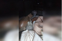 Polícia Militar apreende 7 toneladas de grãos de soja furtados em Paranaguá 