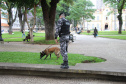 PMPR intensifica policiamento na região central de Curitiba através da CORP
