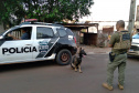 Batalhão de Polícia Rodoviária apreende 550 kg de maconha e recupera veículo roubado em Chopinzinho no Paraná