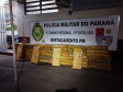 Polícia Militar do Paraná desmantela complexa operação de tráfico em Diamante do Oeste