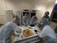Seção de Genética Molecular Forense realiza curso de coleta de vestígios biológicos em materiais provenientes de locais de crime