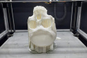 Réplica em 3D de crânio é a novidade no acervo do Museu de Ciências Forenses