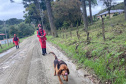 Paraná sedia pela 1ª vez Certificação Nacional de Cães de Busca e Resgate
