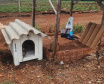 Casinhas feitas em penitenciária do Paraná vão ajudar a abrigar animais resgatados no RS