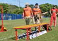 Com certificação nacional de duplas, Paraná amplia número de cães aptos para resgates