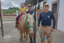 Terapia com cavalos da PMPR colabora na qualidade de vida de pessoas com deficiência