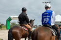 Terapia com cavalos da PMPR colabora na qualidade de vida de pessoas com deficiência
