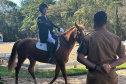 Terapia com cavalos da PMPR colabora na qualidade de vida de pessoas com deficiência