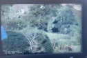  Perseguição de helicóptero: Falcão da PM ajuda PF a interceptar aeronave com 243 kg de cocaína
