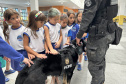Detecção de drogas, armas e até explosivos: núcleo de cães da PCPR completa 13 anos