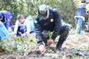 PMPR e SPVS plantam 170 mudas de árvores nativas em celebração ao aniversário da corporação