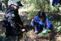 PMPR e SPVS plantam 170 mudas de árvores nativas em celebração ao aniversário da corporação