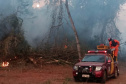  Corpo de Bombeiros do Paraná já atendeu mais de 9,3 mil incêndios florestais em 2024