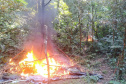 IAT e Força Verde desmobilizam acampamento de caçadores dentro do Pico do Marumbi