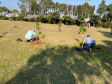 150 árvores frutíferas são plantadas em Unidade de Progressão de Ponta Grossa