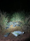 Polícia Militar do Paraná apreende quase três toneladas de maconha em Terra Roxa