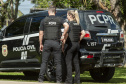 Sem custódia de presos, Polícia Civil do Paraná aumenta em 463% número de operações