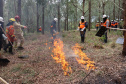 Governo do Paraná conclui capacitação de 540 brigadistas florestais em 100 municípios