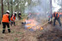 Governo do Paraná conclui capacitação de 540 brigadistas florestais em 100 municípios