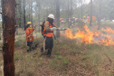 Governo do Paraná conclui capacitação de 540 brigadistas florestais em 100 municípios