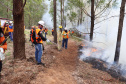 Governo do Paraná conclui capacitação de 540 brigadistas florestais em 100 municípios