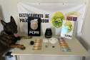 Cães da PCPR ajudaram a apreender 2,8 toneladas de drogas em 2024