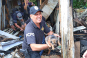 PCPR resgata cadela e filhotes presos em escombros em Guaratuba