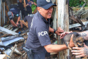PCPR resgata cadela e filhotes presos em escombros em Guaratuba