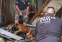 PCPR resgata cadela e filhotes presos em escombros em Guaratuba