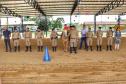 Regimento de Polícia Montada ganha picadeiro coberto para prática de equoterapia