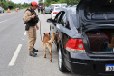  Forças de segurança fazem operação integrada nas rodovias do Litoral 