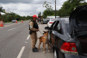  Forças de segurança fazem operação integrada nas rodovias do Litoral 