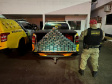 PMPR E PF apreendem 104kg de pasta base de cocaína em Cruzeiro do Oeste
