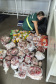  PCPR e Vigilância Sanitária apreendem 161 quilos de carne em Pontal do Paraná