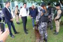 Governo do Paraná vai comprar 93 cães para reforçar atividades policiais e de salvamento