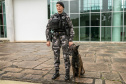 Governo do Paraná vai comprar 93 cães para reforçar atividades policiais e de salvamento