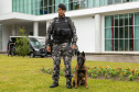 Governo do Paraná vai comprar 93 cães para reforçar atividades policiais e de salvamento
