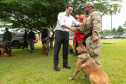 Governo do Paraná vai comprar 93 cães para reforçar atividades policiais e de salvamento