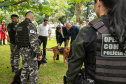 Governo do Paraná vai comprar 93 cães para reforçar atividades policiais e de salvamento