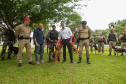 Governo do Paraná vai comprar 93 cães para reforçar atividades policiais e de salvamento