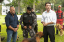 Governo do Paraná vai comprar 93 cães para reforçar atividades policiais e de salvamento