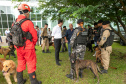 Governo do Paraná vai comprar 93 cães para reforçar atividades policiais e de salvamento